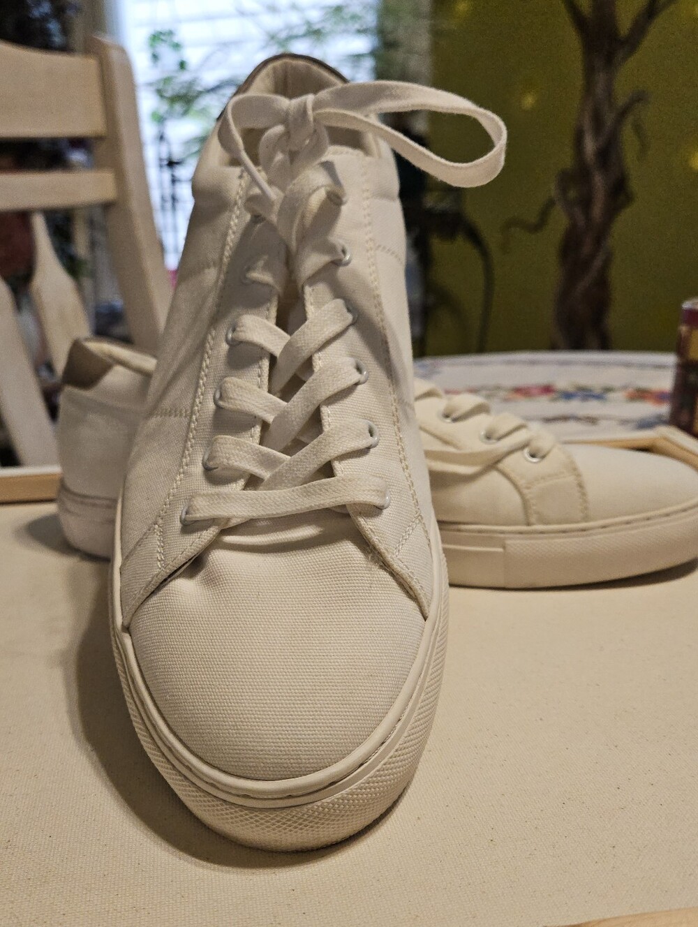 Abound Mens Canvas Sneaker